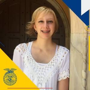 Meet your Posher, Sydney